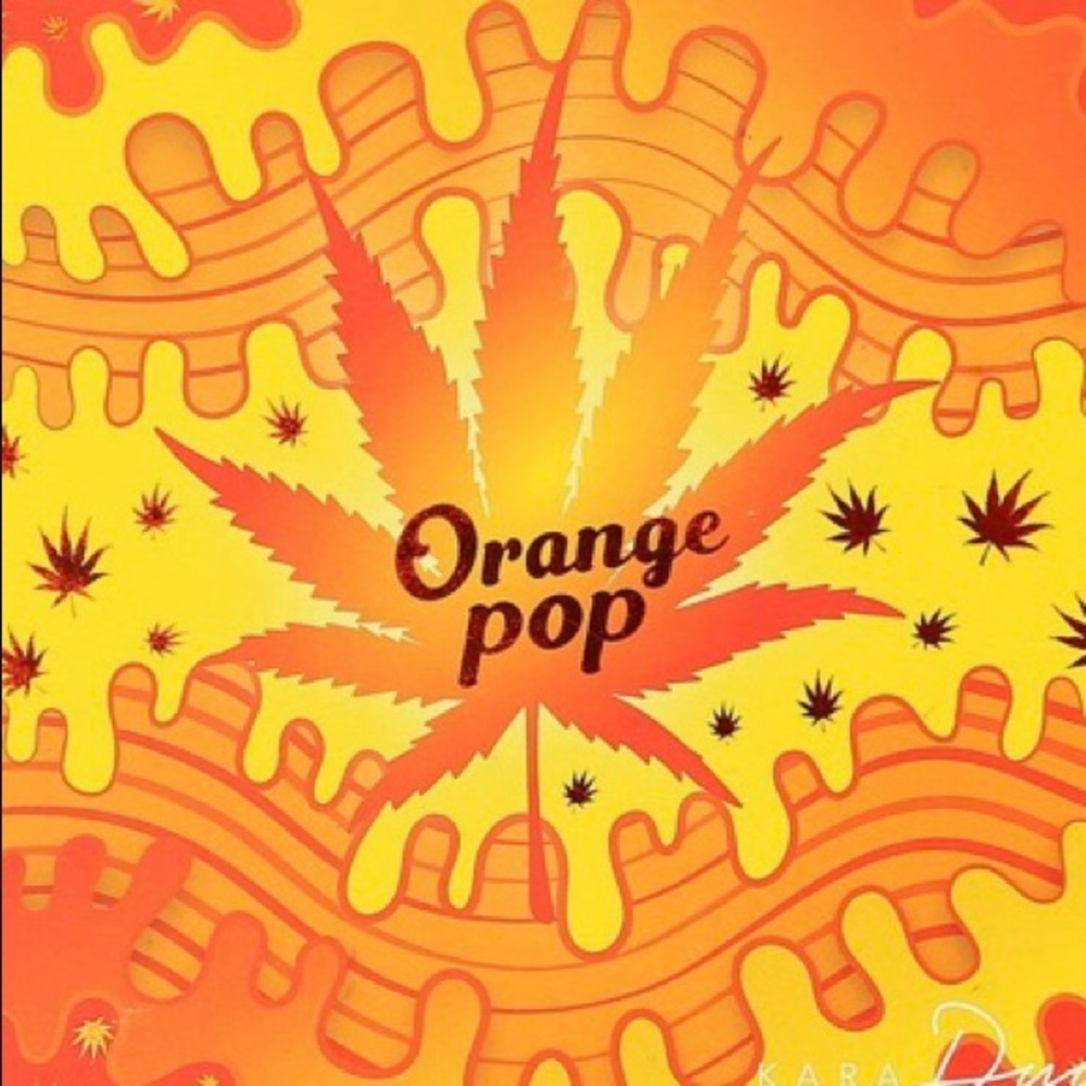 ๐NWTOrange Pop pallet ๐ - Picture 3 of 6